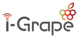 i-Grape Logo